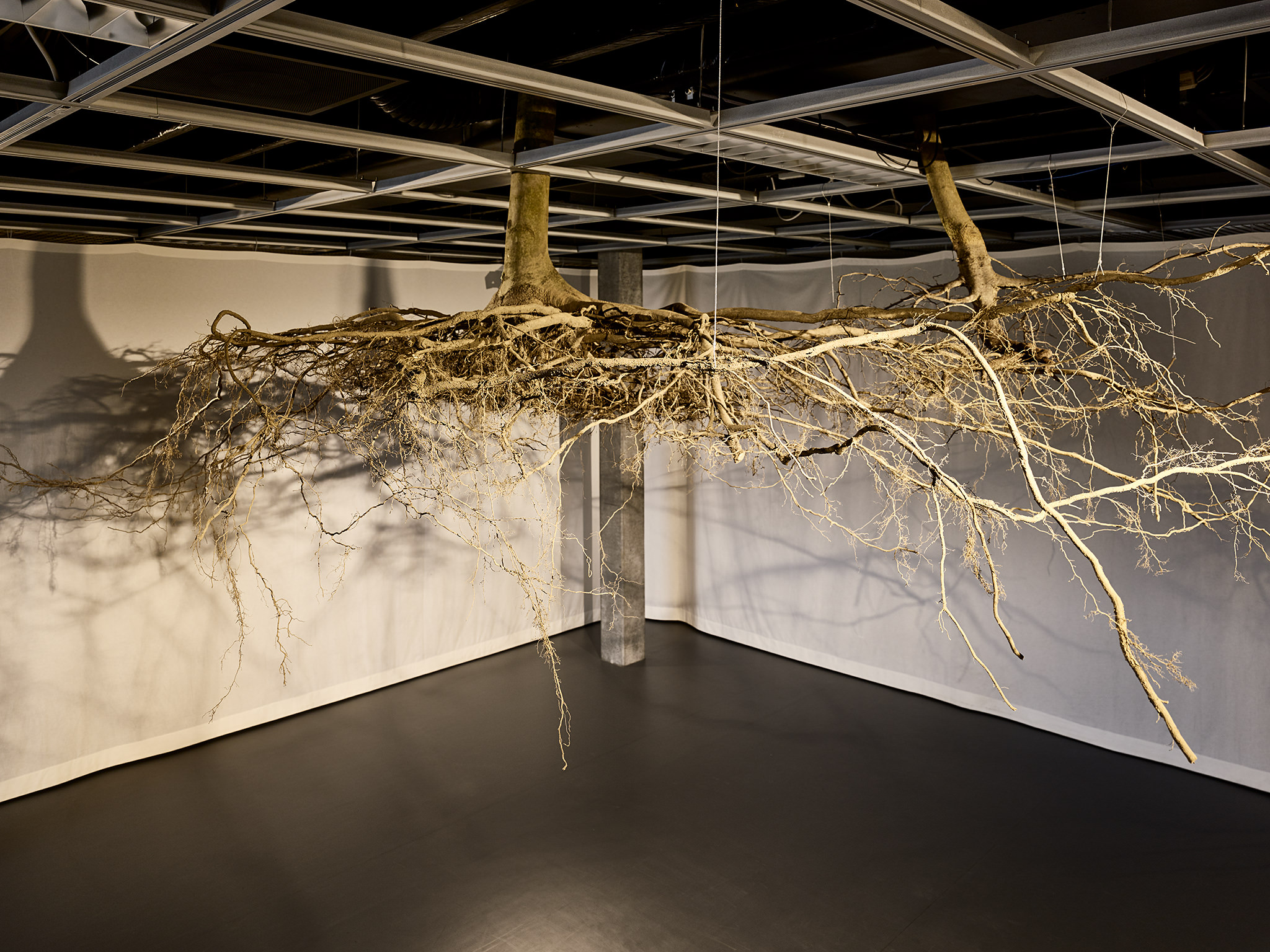 LIVE MATTER - Design Vegetal